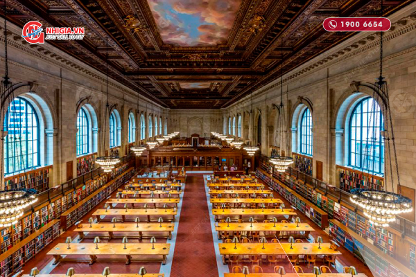 Thư viện công cộng New York - điểm lưu giữ gấu Pooh "bản gốc" 